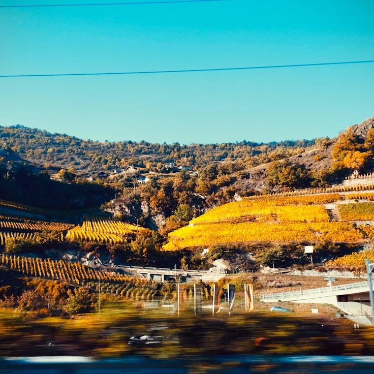 Outdoor terrace seating suitable for families in Paris